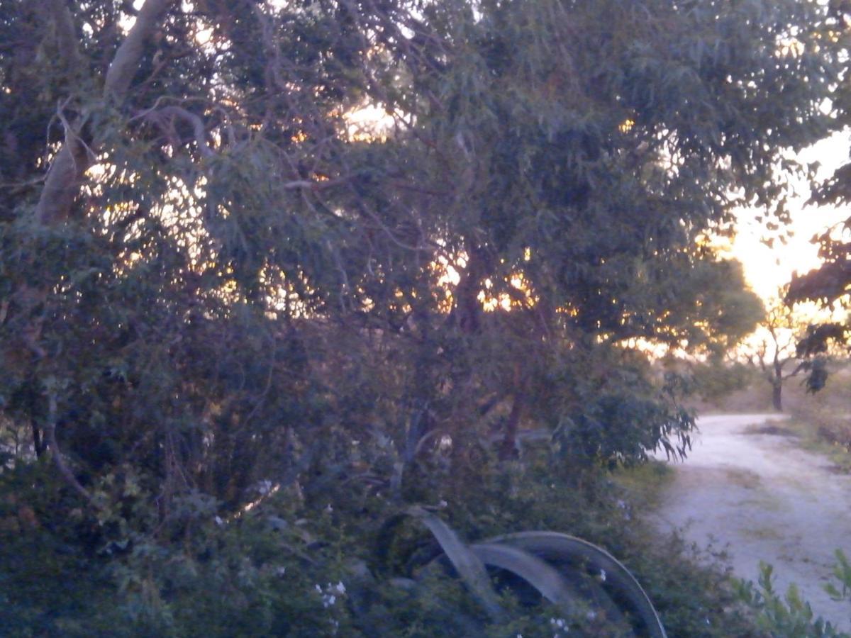 Saint-Hippolyte  Mas Soleil Et Vignes B&B 외부 사진